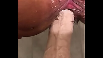 Homemade Video Of Pussyfucking With A Dildo