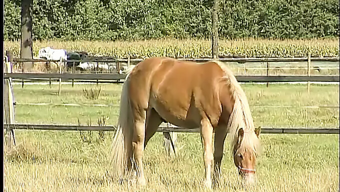 Farmárova Dcéra S Veľkými Prsiami Si V Lese Užíva Orgazmus.